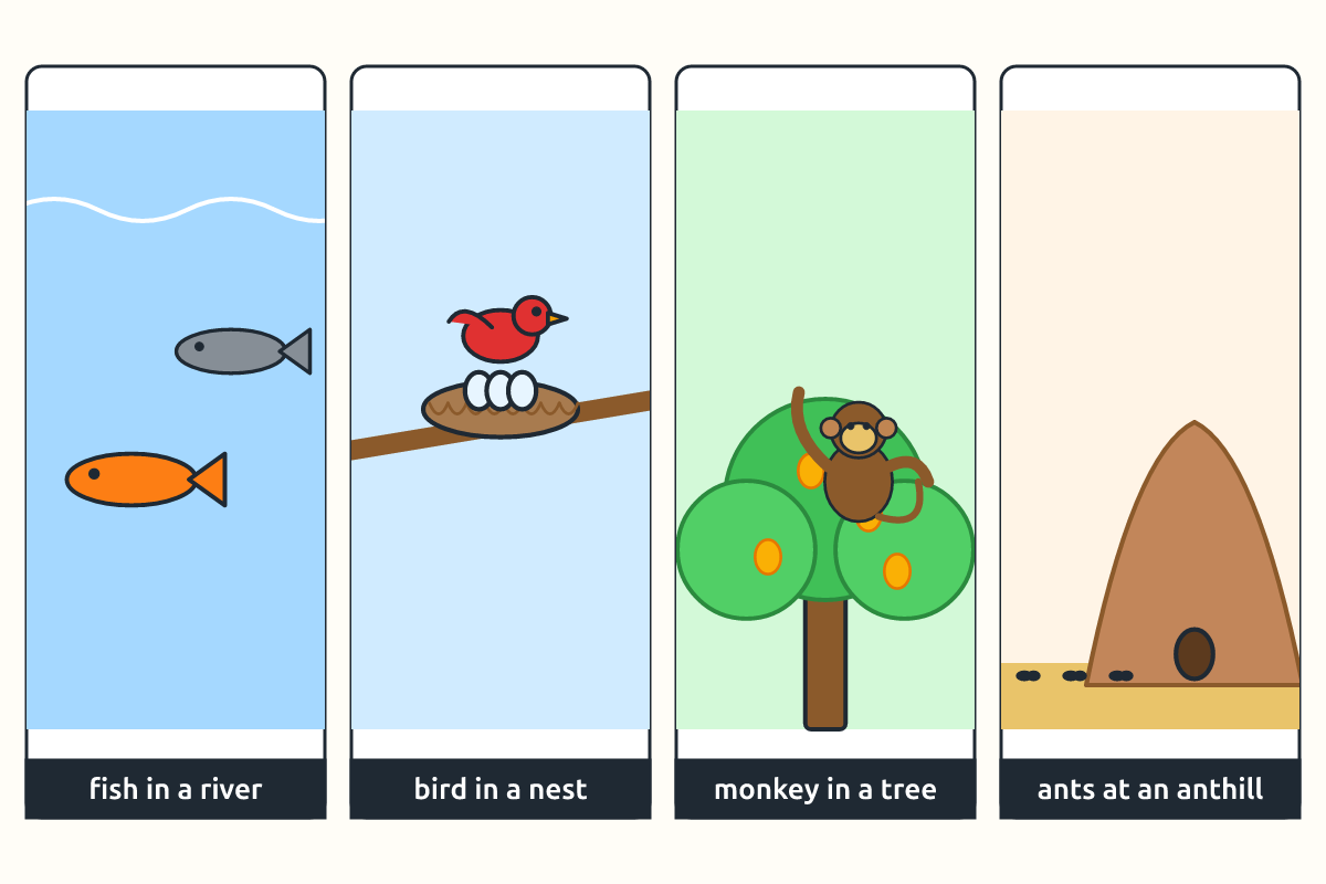 Animals in their homes: fish in a river, bird in a nest, monkey in a tree, ants at an anthill