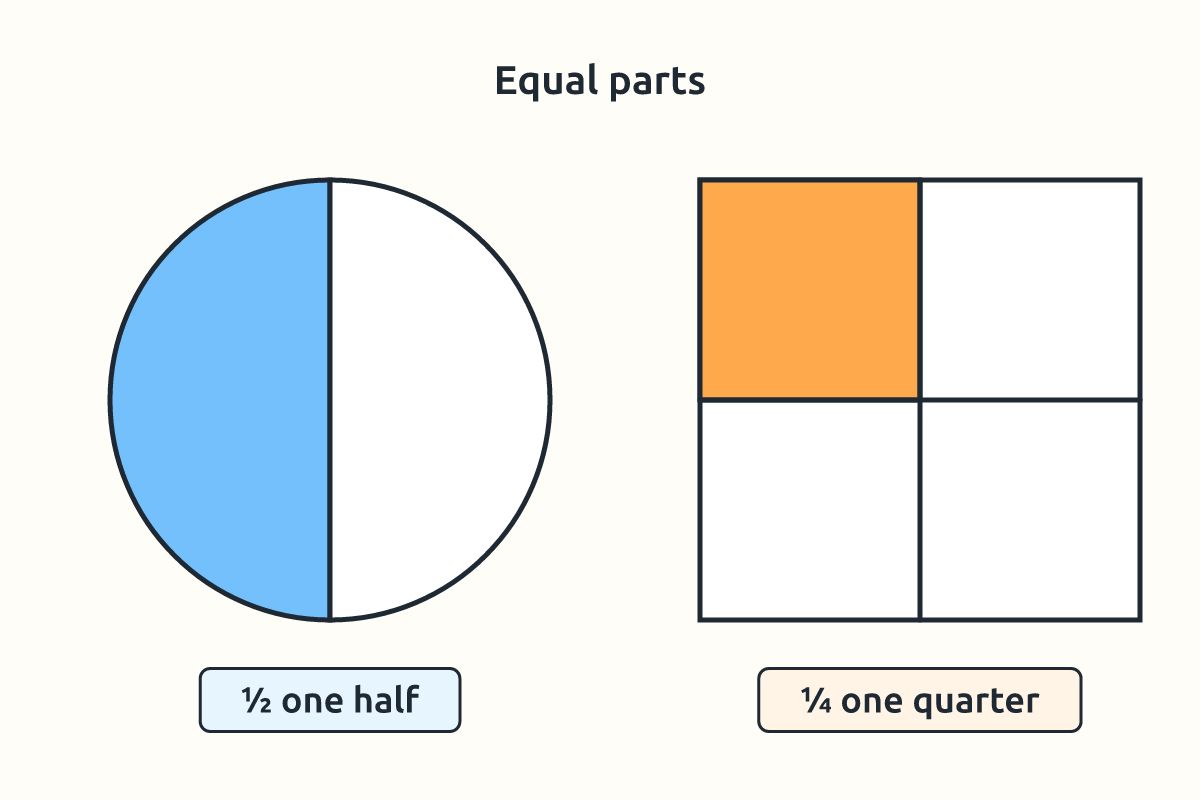 A circle cut into 2 equal parts and a square cut into 4 equal parts