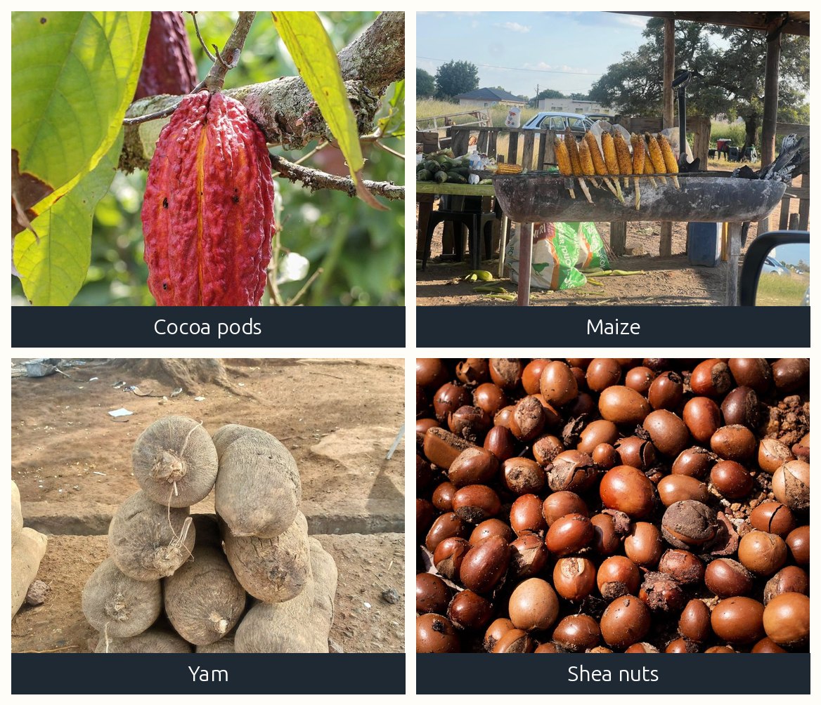 Cocoa pods, maize cobs, yam tubers and shea nuts