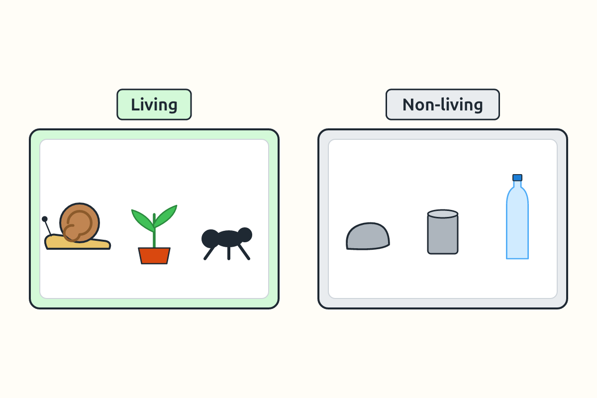 Two trays, one with a snail, leaf and ant, one with a stone, can and bottle