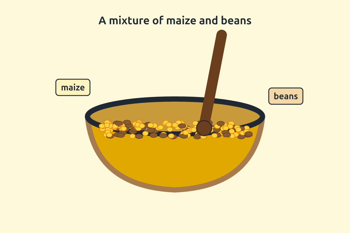 A calabash bowl with maize grains and beans mixed