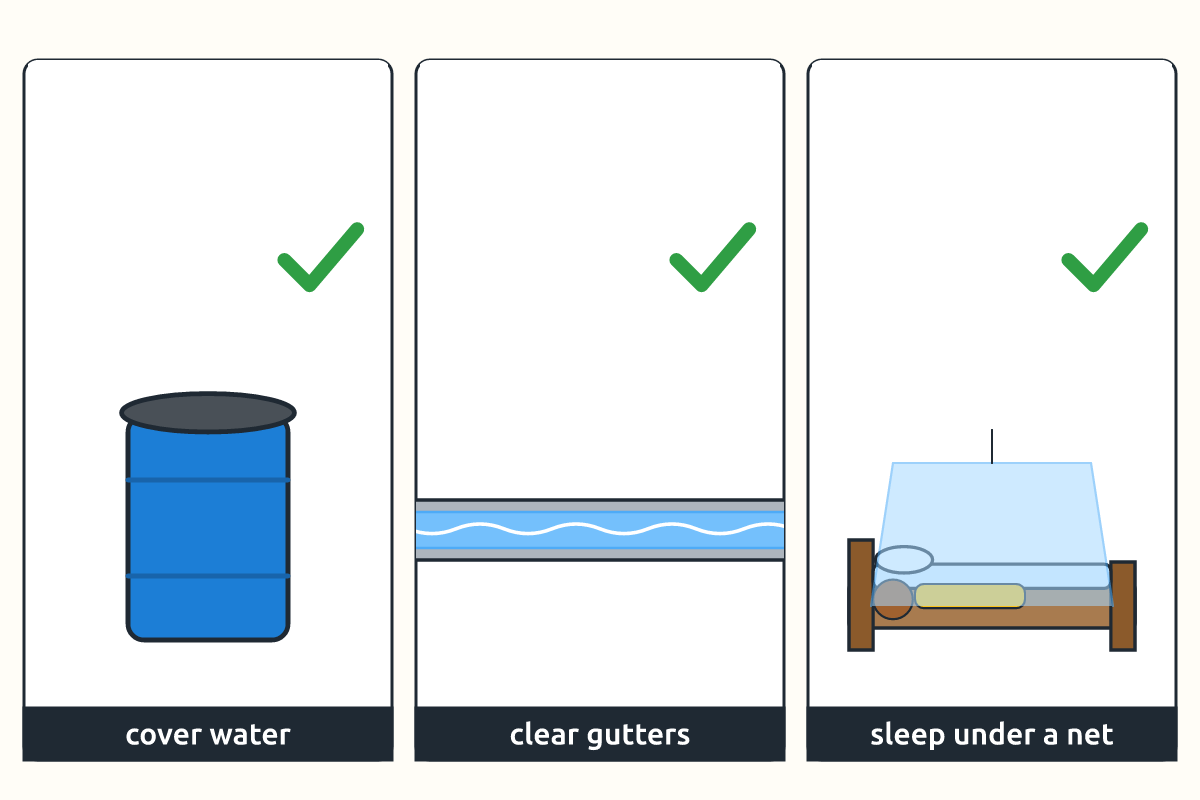 Ways to stop mosquitoes: covered water, clean gutters and a mosquito net