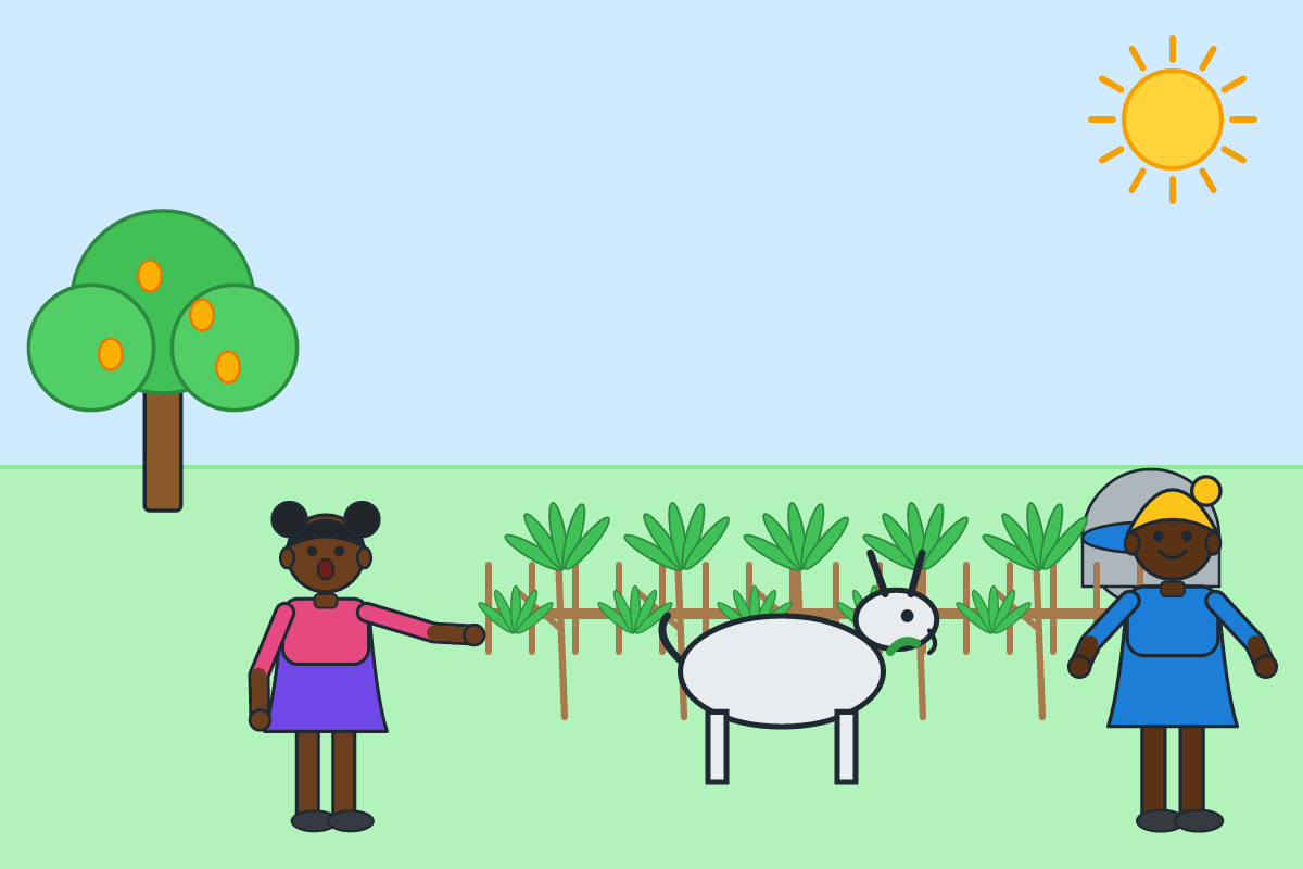 A girl finding her goat eating cassava leaves in a neighbour's garden