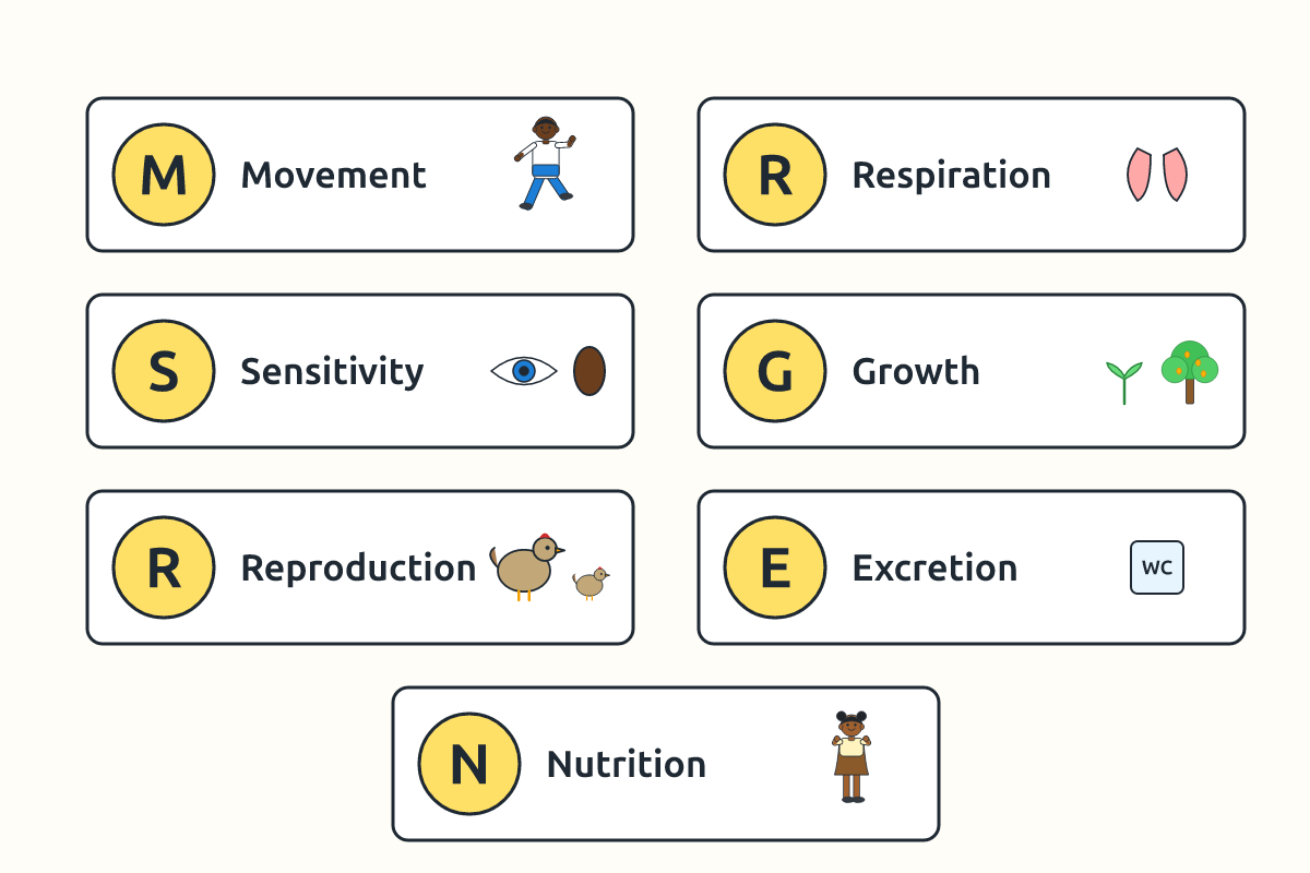 A chart of the seven life processes with simple pictures