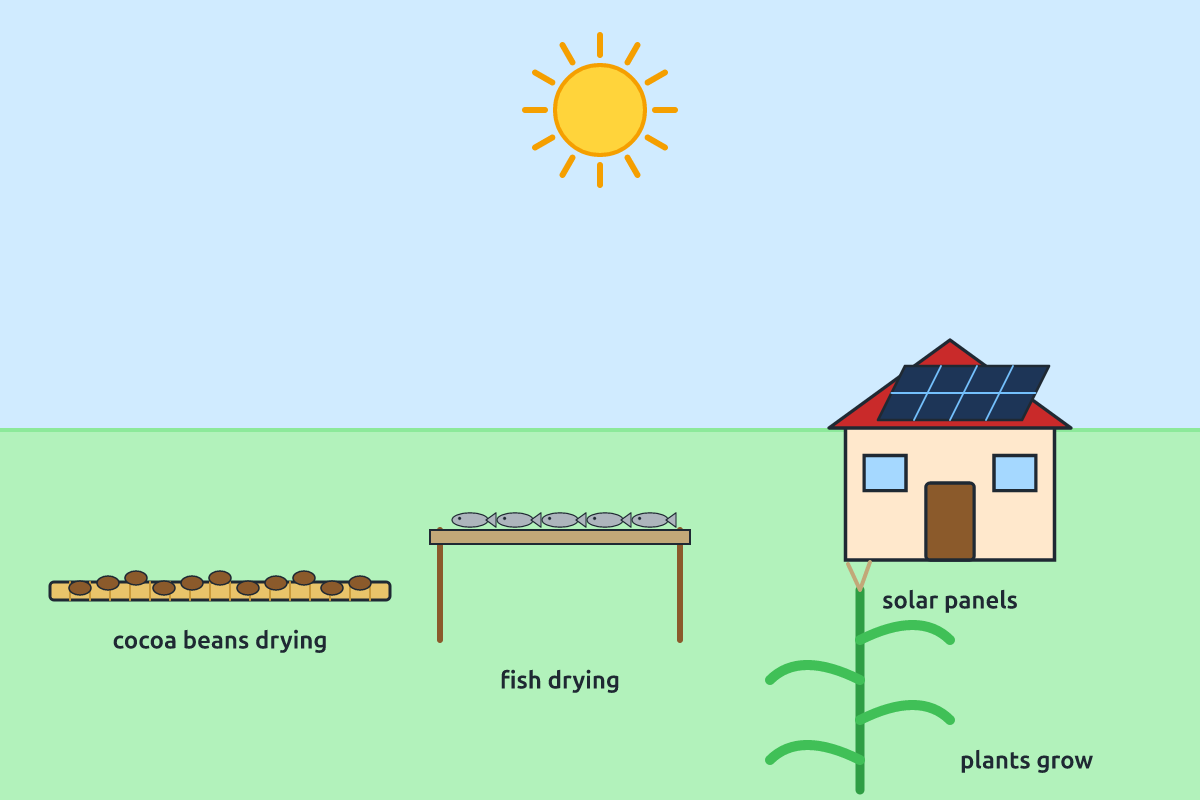 Cocoa beans drying, fish drying, solar panels and a growing plant in sunshine