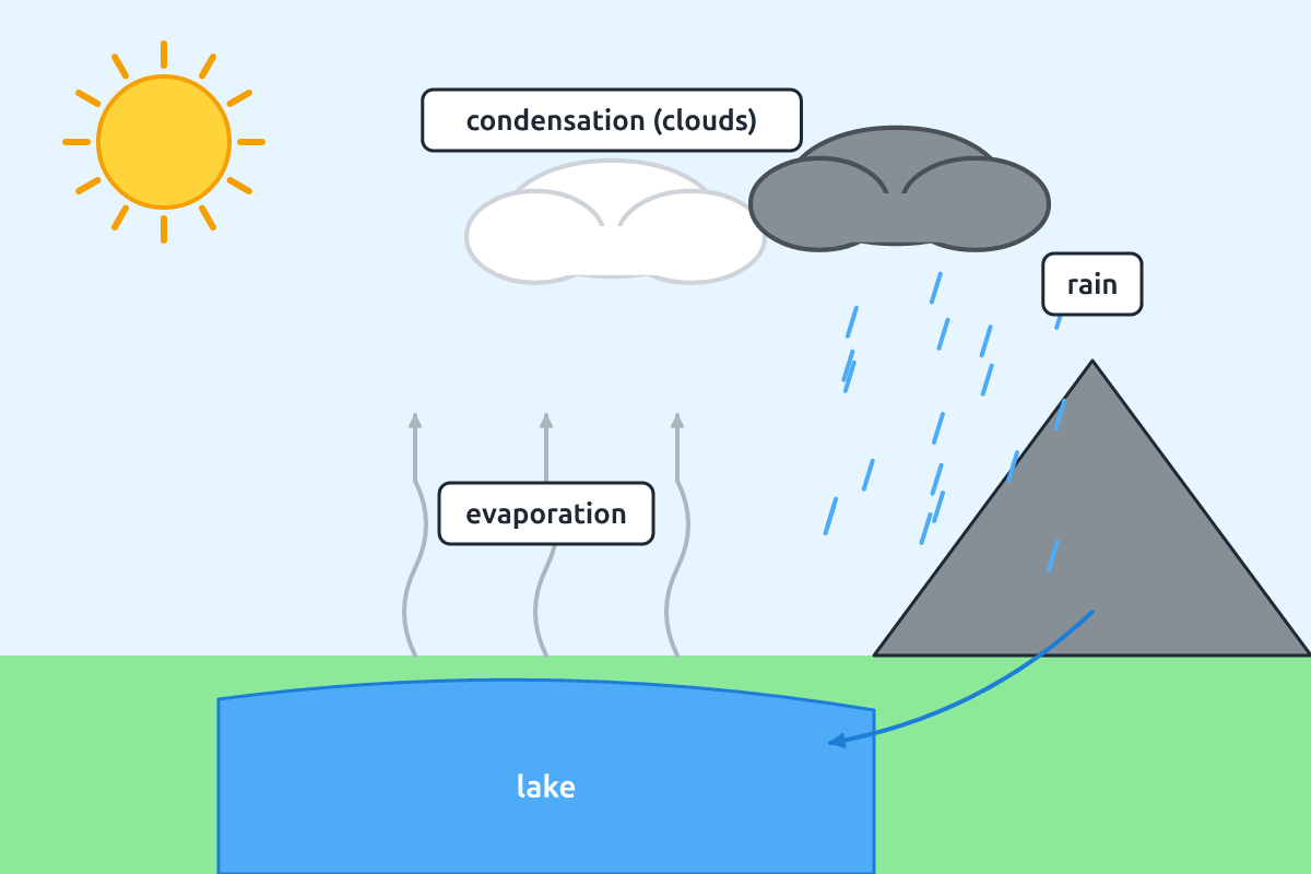 The water cycle showing evaporation, condensation, clouds and rain