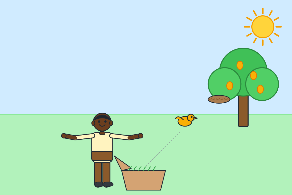 A boy releasing a small bird from a box