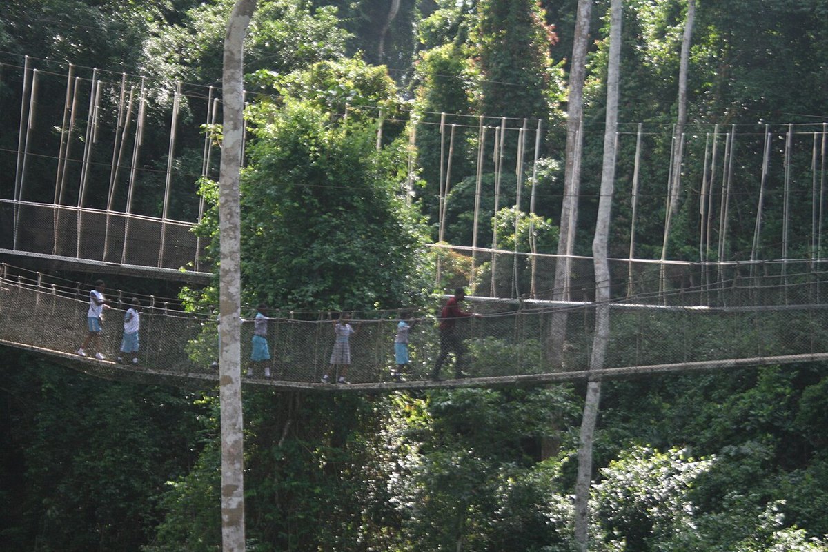 Visitors on the Kakum canopy walkway