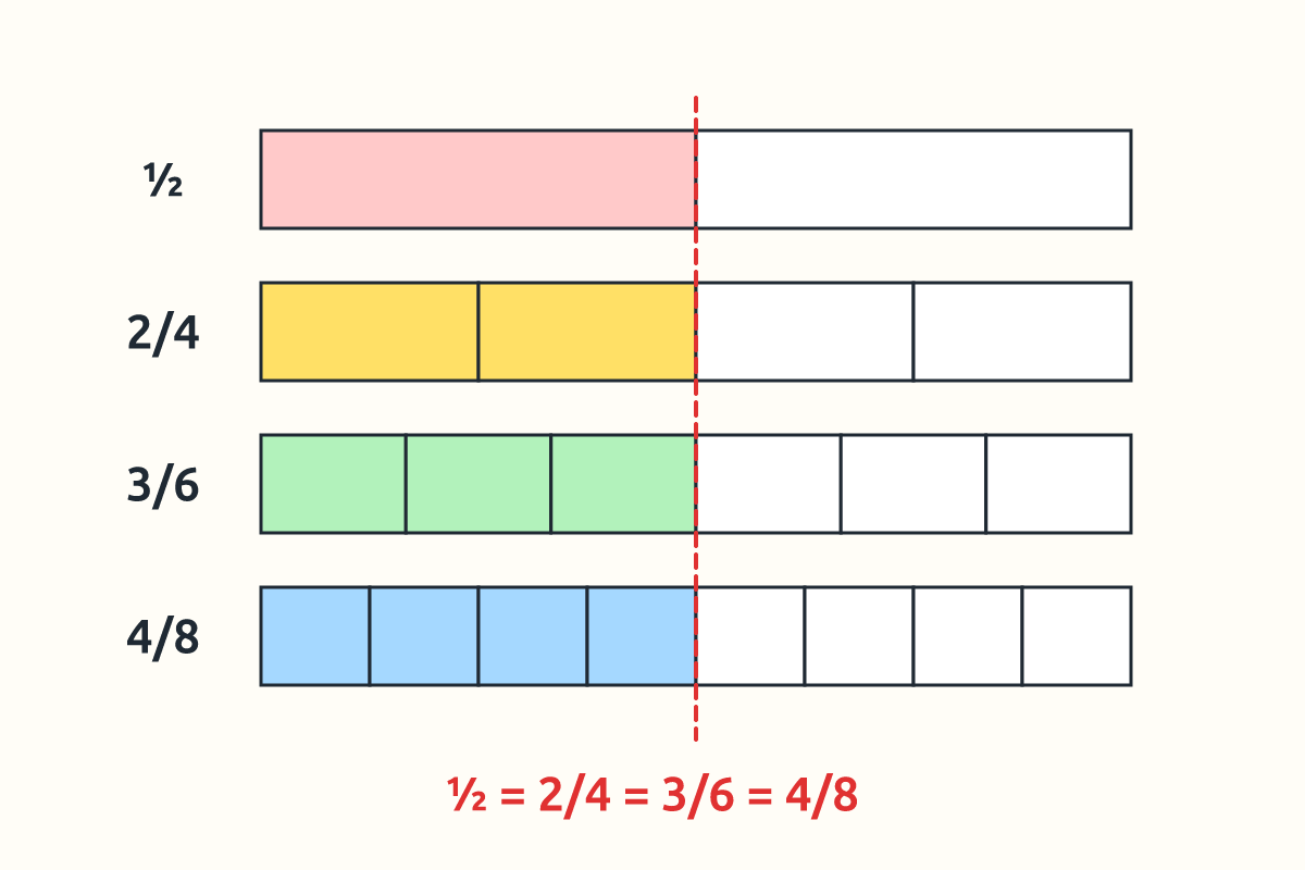 Fraction strips showing ½, 2/4, 3/6 and 4/8 shaded to the same length