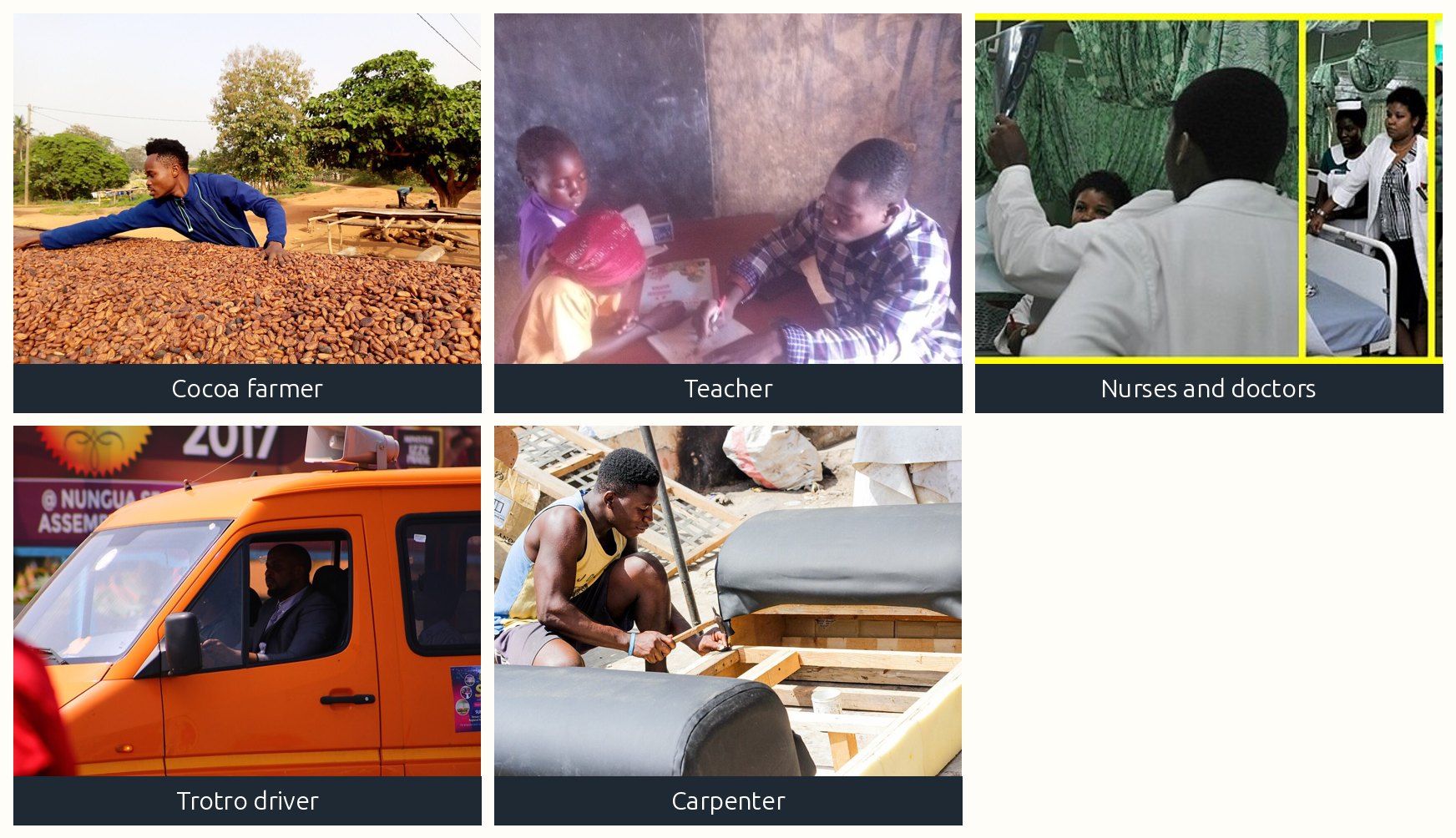 A farmer, a teacher, a nurse, a driver and a carpenter at work