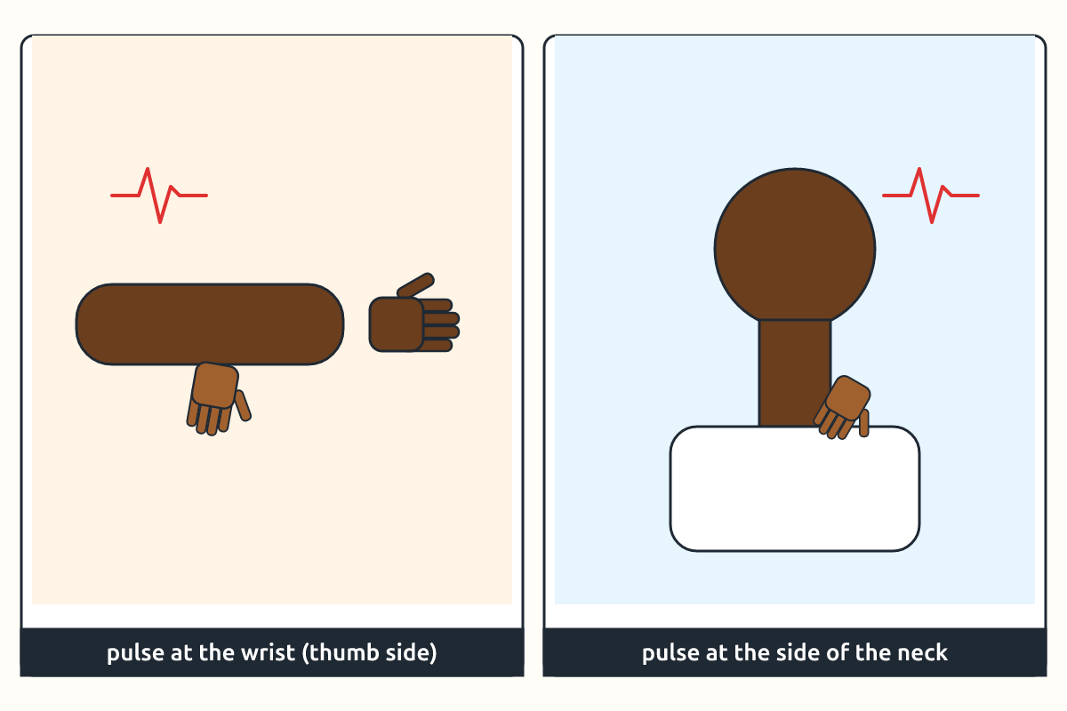 Two fingers on the wrist and neck to find the pulse