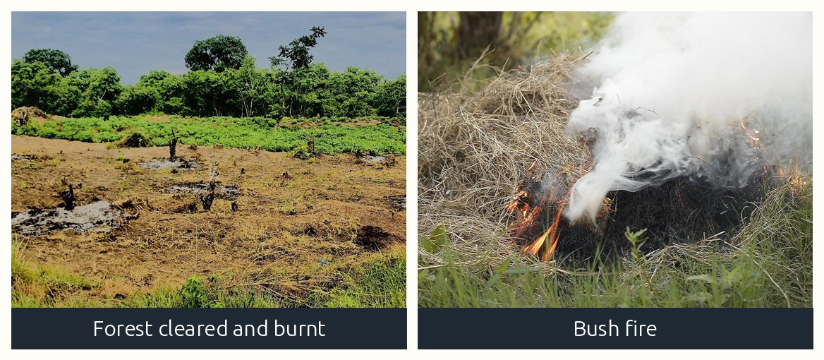 A cleared forest with tree stumps and a bush fire in grassland