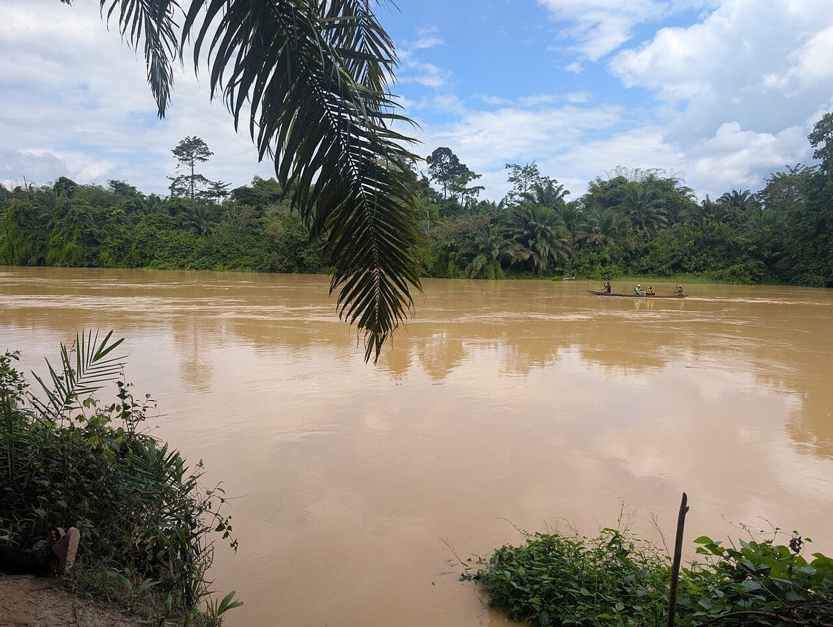 A brown polluted river beside galamsey pits