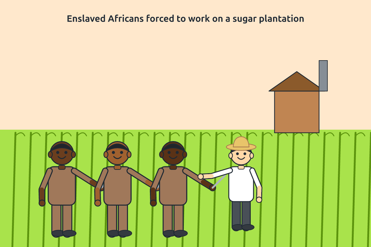 A historical illustration of a sugarcane plantation in the Americas