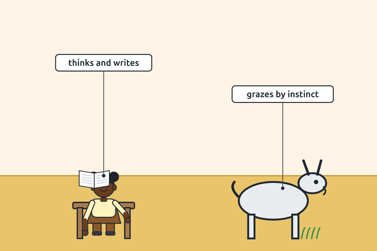 A child reading and writing beside a goat grazing