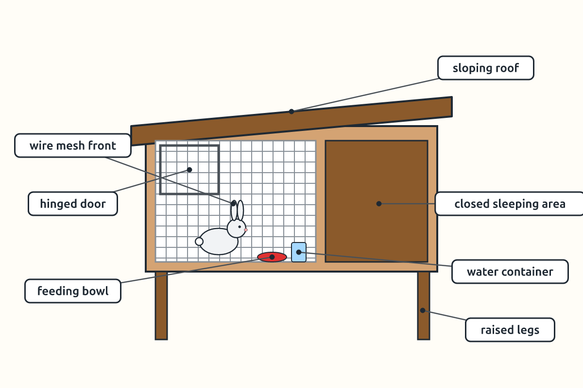A labelled sketch of a raised rabbit hutch