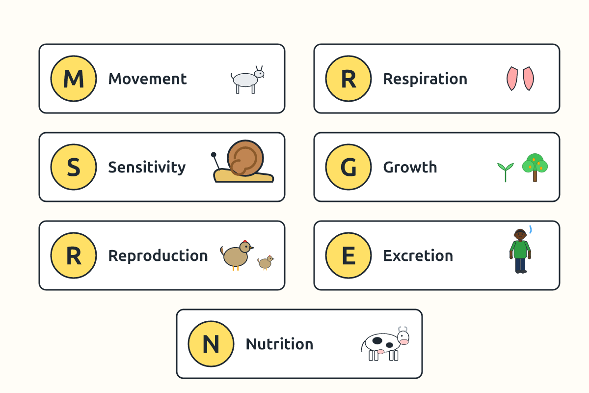 A chart of the seven life processes with an example picture for each