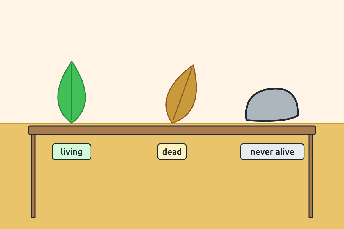A green leaf, a dry dead leaf and a stone placed side by side
