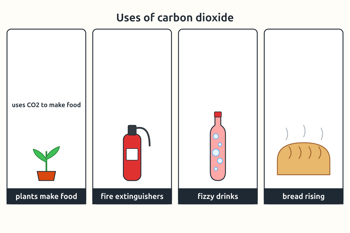 Pictures of a plant, a fire extinguisher, a soft drink bottle and bread showing uses of carbon dioxide