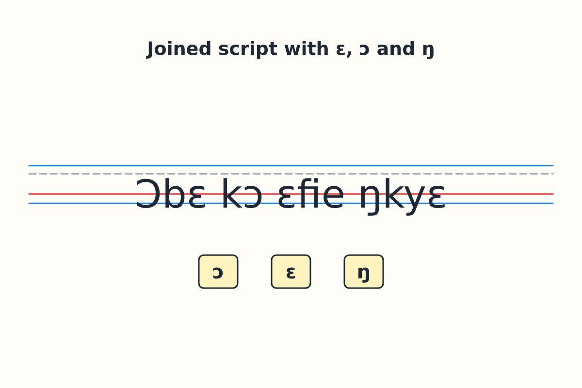 Joined handwriting showing special letters ɛ, ɔ and ŋ on guidelines