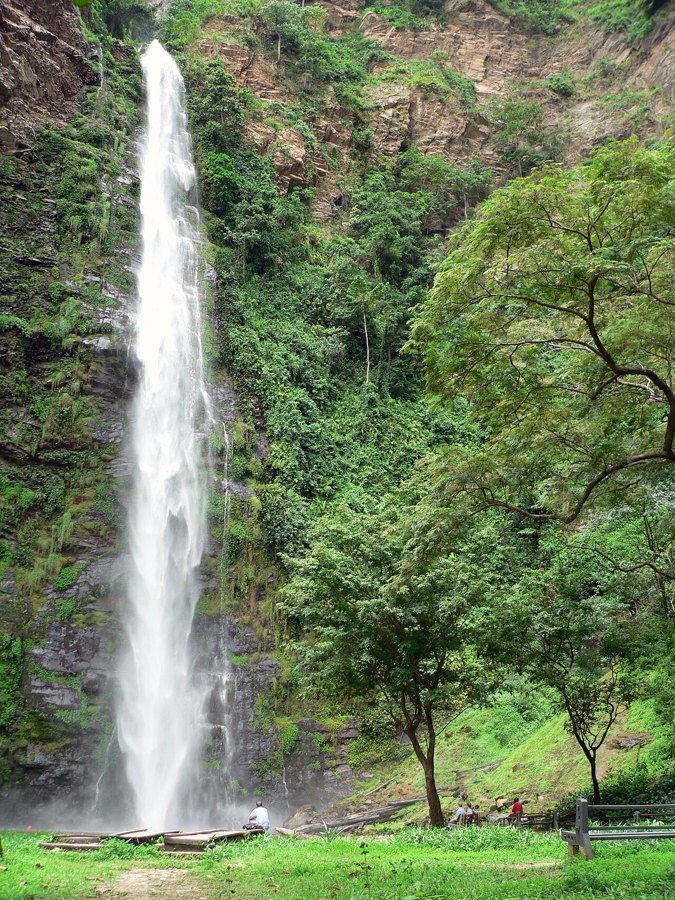 The Wli waterfalls surrounded by green forest