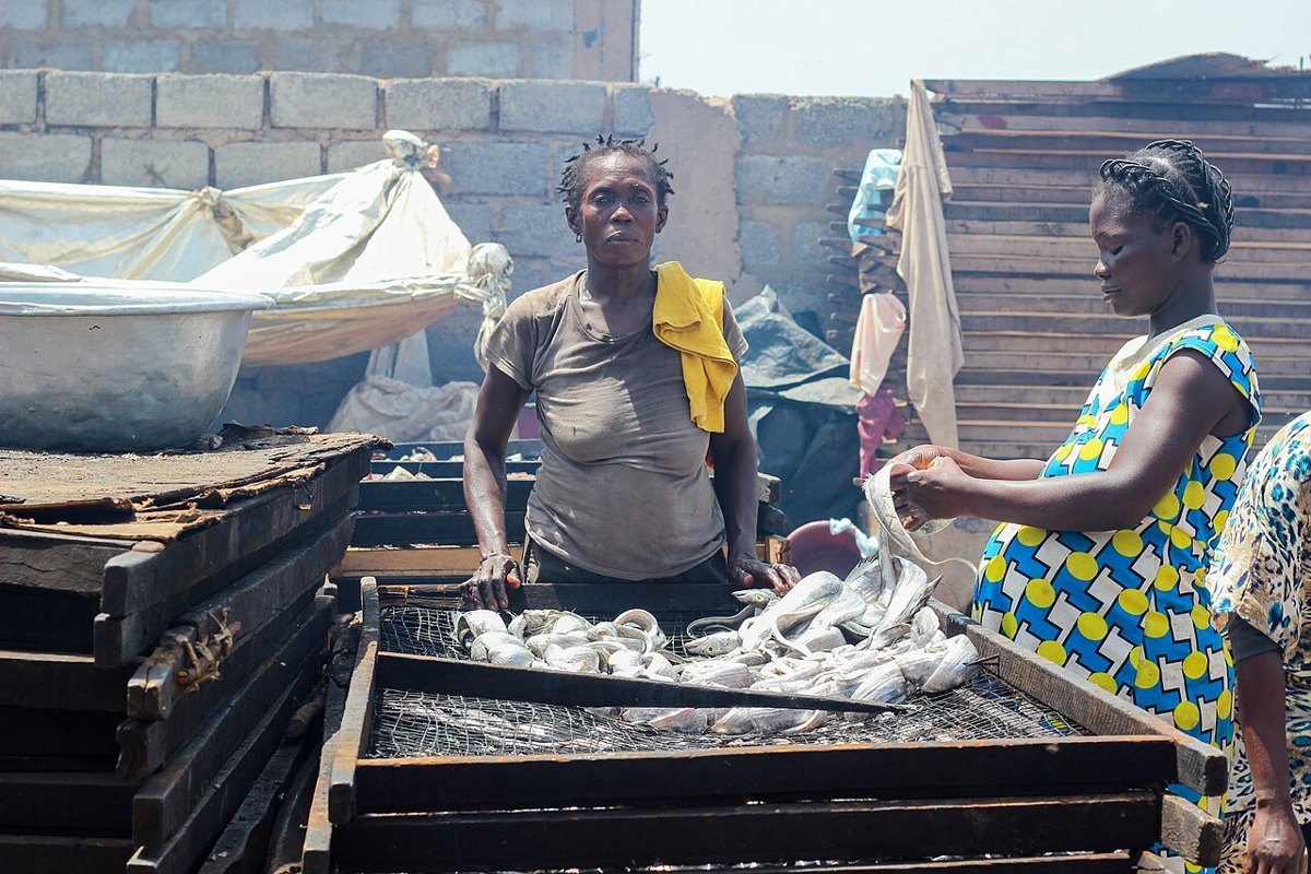 Women smoking fish on traditional ovens