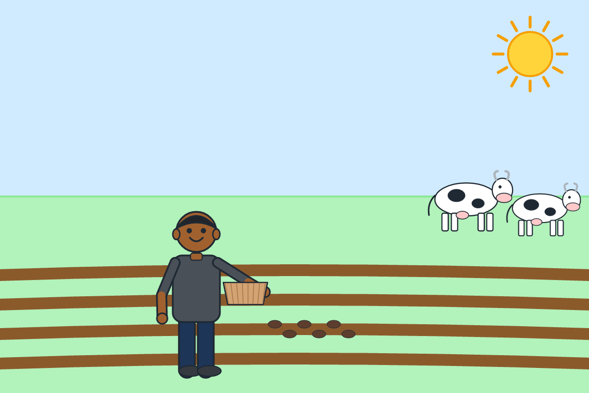 A farmer spreading cow dung on a farm bed