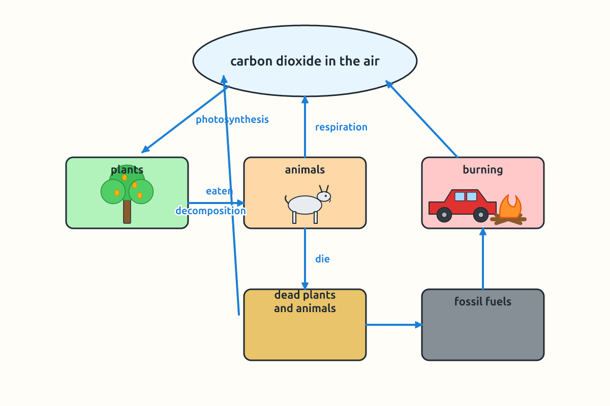 The carbon cycle with arrows between air, plants, animals, soil and fuels